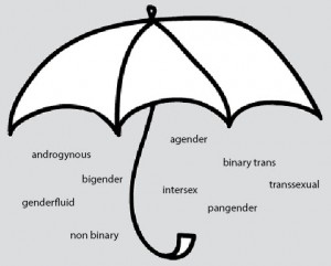 The trans umbrella covers the terms used by people who do not fit the gender binary. Some terms are subsets of others to allow individuals to choose labels they feel most comfortable with.
