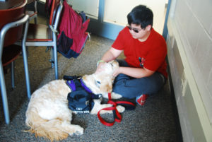 Freshman Christopher Thompson plays with his service dog, KitKat. She aids Thompson in his everyday school activites.